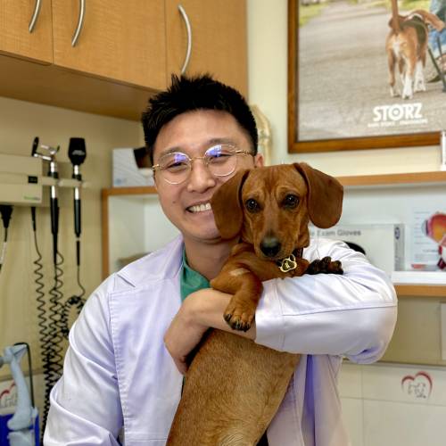 Dr Johnny Nguyen